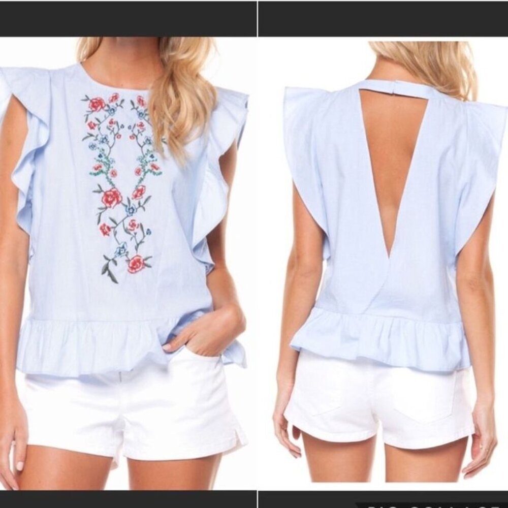 Zara Light Blue Beaded Floral Embroidery Ruffle Sleeveless Blouse with Open Back - Picture 2 of 9